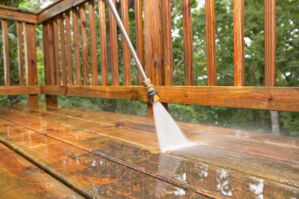 Best Warehouse Cleaning  in Emmon, AK
